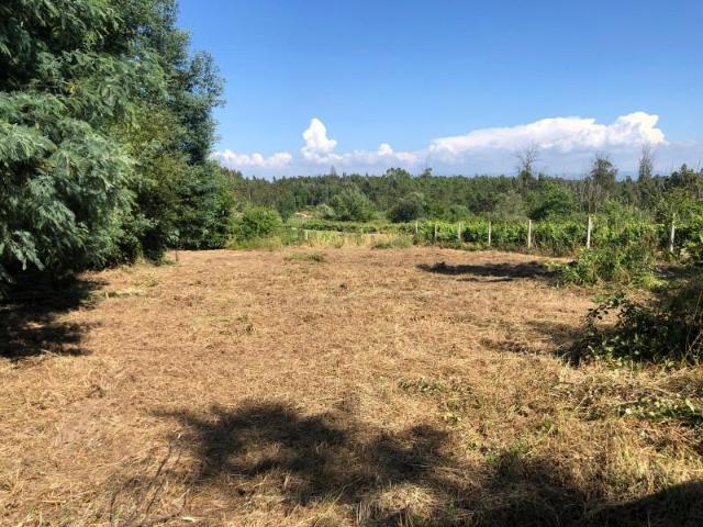 Terreno venda em Couto Do Mosteiro, Viseu