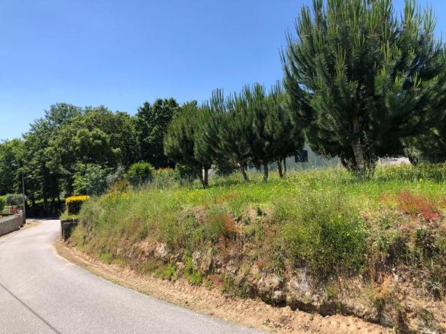Terreno venda em Couto Do Mosteiro, Viseu