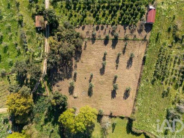Terreno venda em Couto Do Mosteiro, Viseu