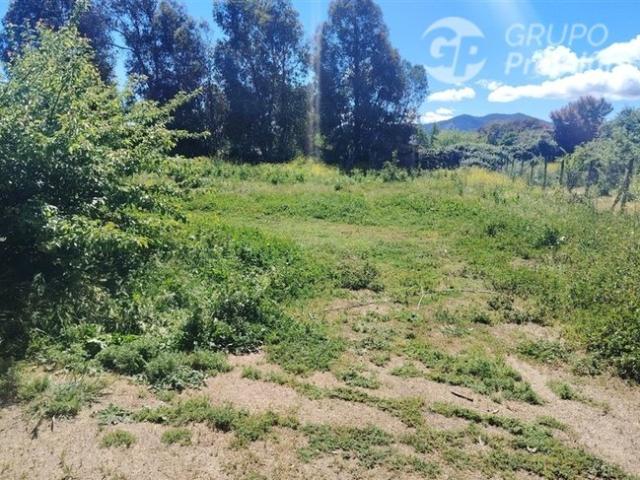 Santa Cruz, Calle Cabello