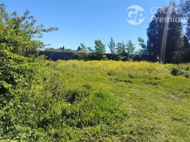 Santa Cruz, Calle Cabello