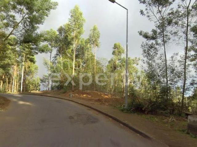 Terreno venda em Santa Cruz, Armamar