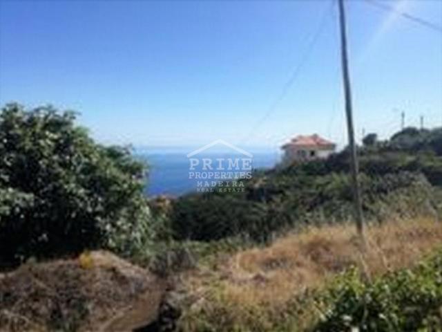 Terreno venda em Santa Cruz, Armamar