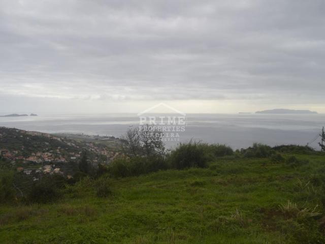 Terreno venda em Santa Cruz, Armamar