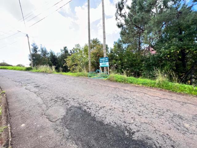 Terreno venda em Aldeias, Viseu