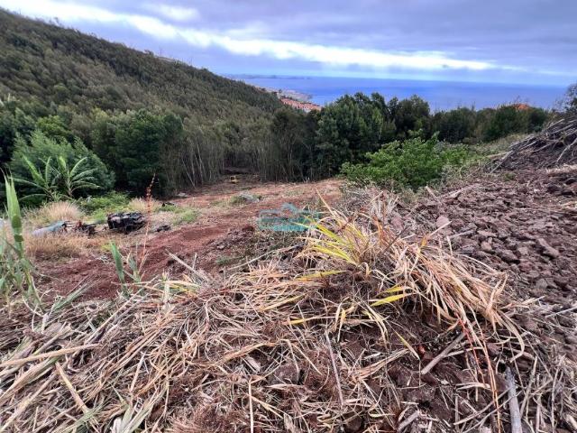 Terreno venda em Aldeias, Viseu