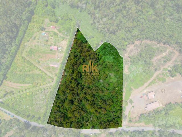 Terreno venda em Aldeias, Viseu