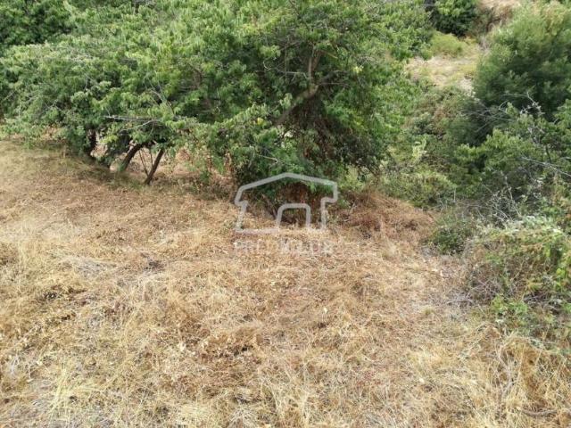 Terreno venda em Aldeias, Viseu