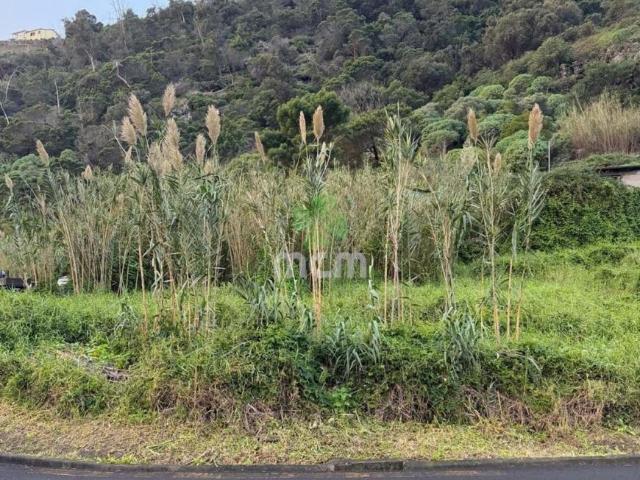Terreno venda em Aldeias, Viseu