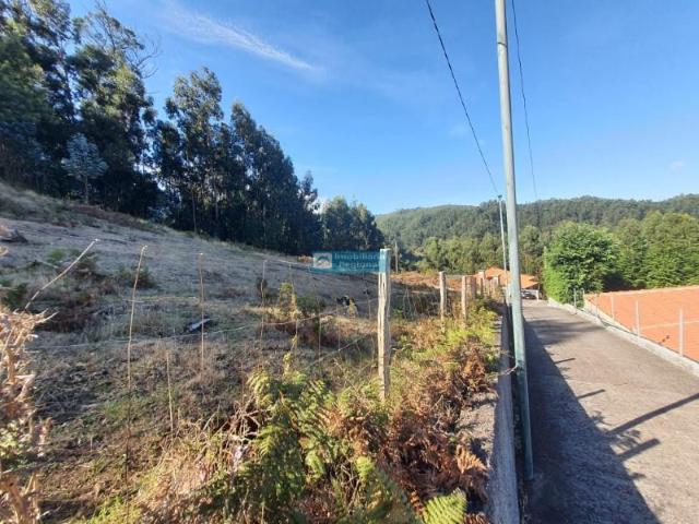 Terreno venda em Santa Cruz, Ilha Da Madeira