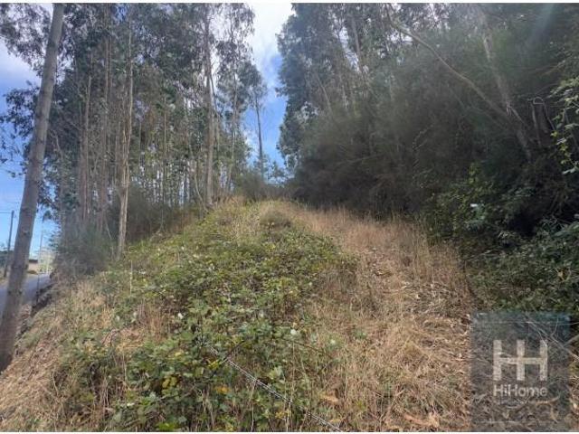 Terreno venda em Santa Cruz