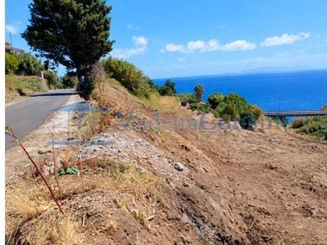 Terreno venda em Santa Cruz