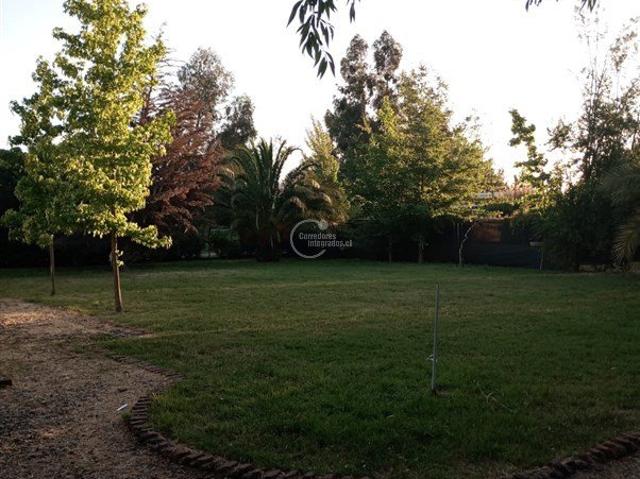 Santa Cruz, Santa cruz