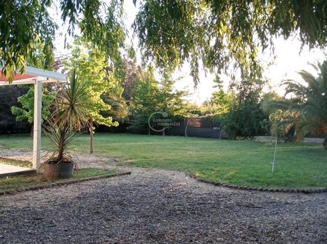 Santa Cruz, Santa cruz