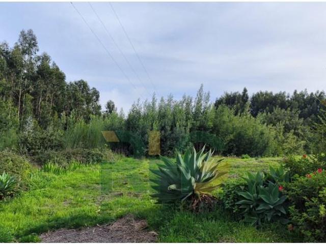 Terreno venda em Quinta das Almas, Santa Cruz