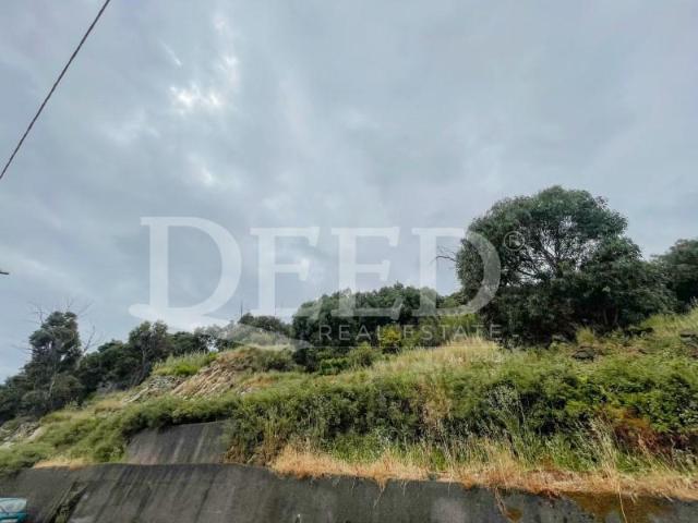 Terreno venda em Santa Cruz