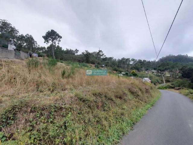 Terreno venda em Funchal, Ilha Da Madeira