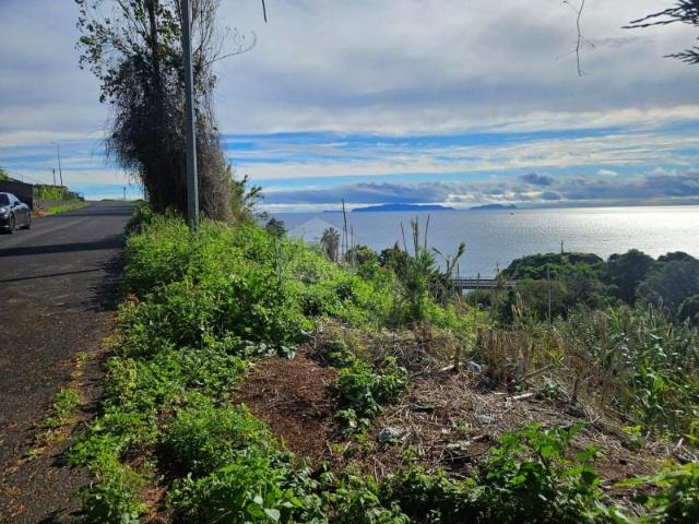 Terreno venda em Santa Cruz