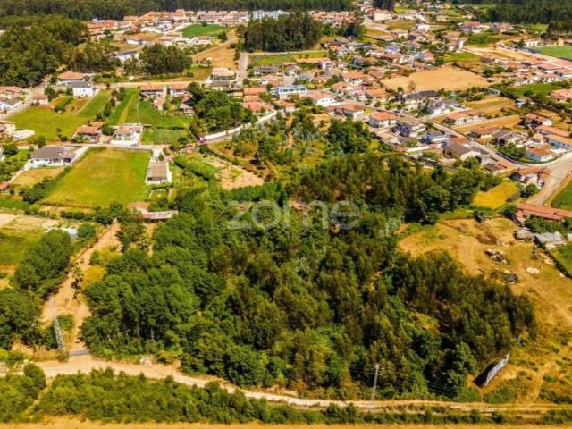 Terreno venda em Santa Maria Da Feira, Aveiro