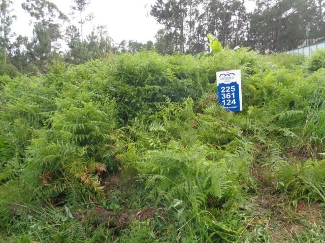 Terreno venda em Santa Maria Da Feira, Aveiro