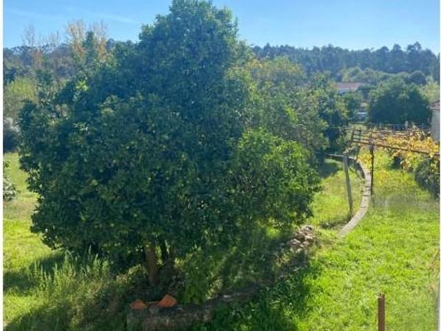 Terreno venda em Santa Maria Da Feira, Aveiro