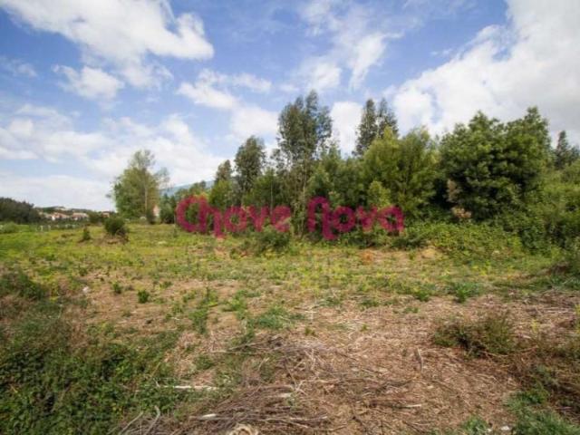 Terreno venda em Santa Maria Da Feira, Aveiro