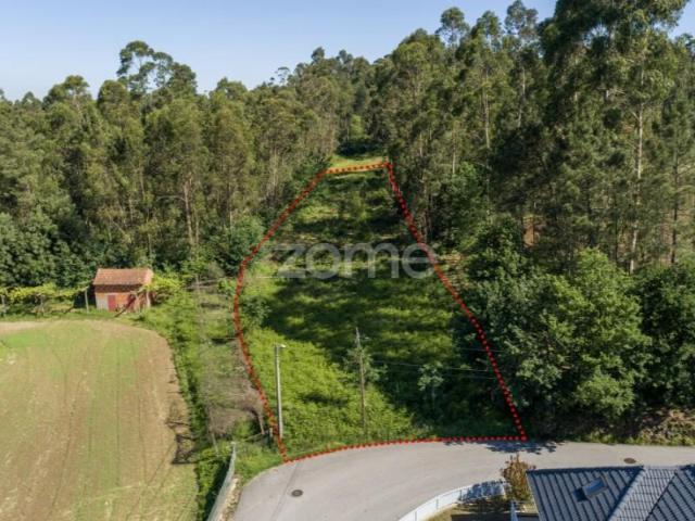 Terreno venda em Santa Maria da Feira, Travanca, Sanfins e Espargo, Santa Maria da Feira