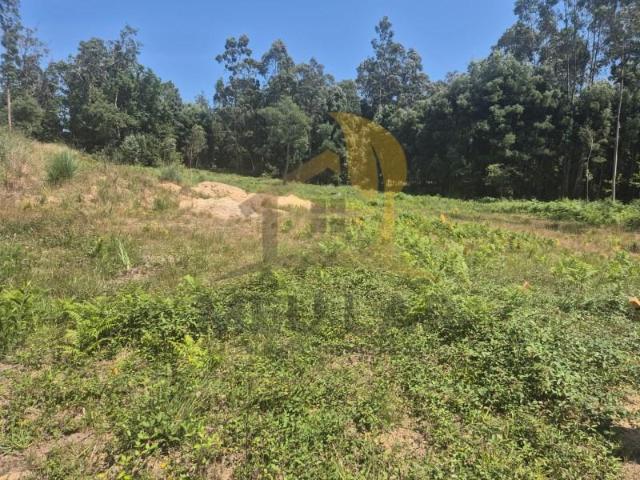 Terreno venda em Santa Maria Da Feira, Aveiro