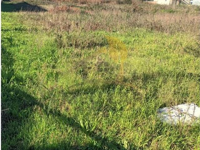 Terreno venda em Santa Maria Da Feira, Aveiro