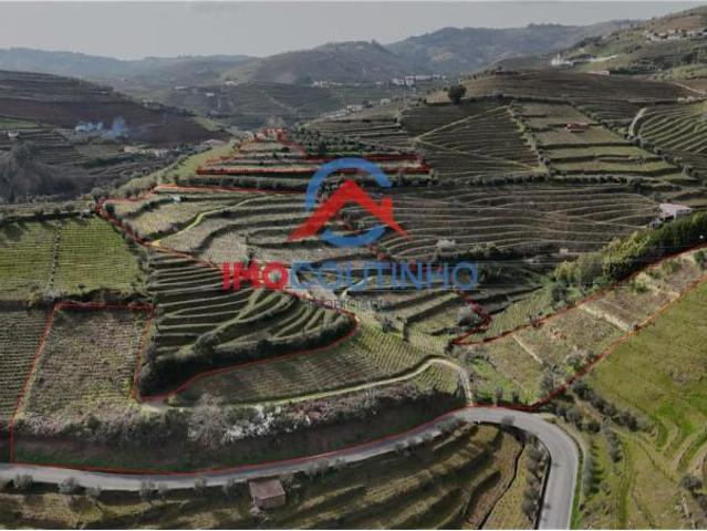 Terreno venda em Santa Marta De Penaguião, Vila Real