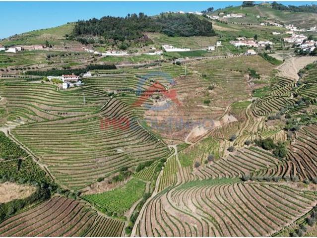 Terreno venda em Santa Marta De Penaguião, Vila Real