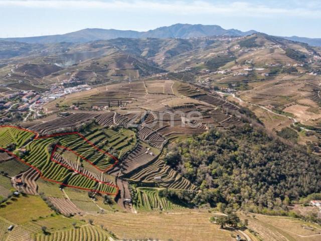 Terreno venda em Santa Marta De Penaguião, Vila Real