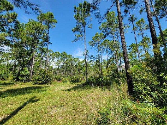 Land for sale in Walton, Florida