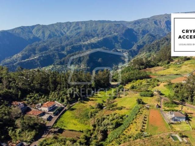 Terreno venda em Pombal, Leiria