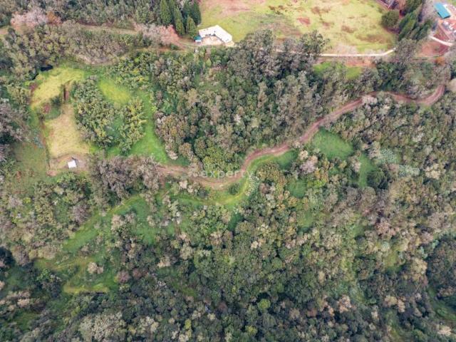Terreno venda em Pombal, Leiria