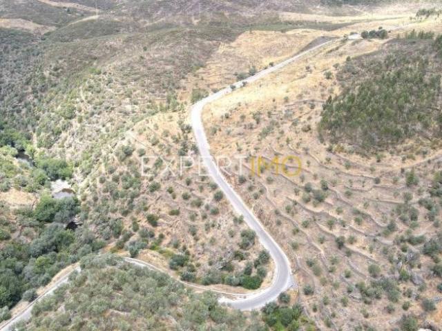 Terreno venda em Nisa, Portalegre