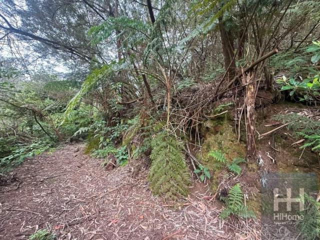Terreno venda em Santana, Ilha Da Madeira