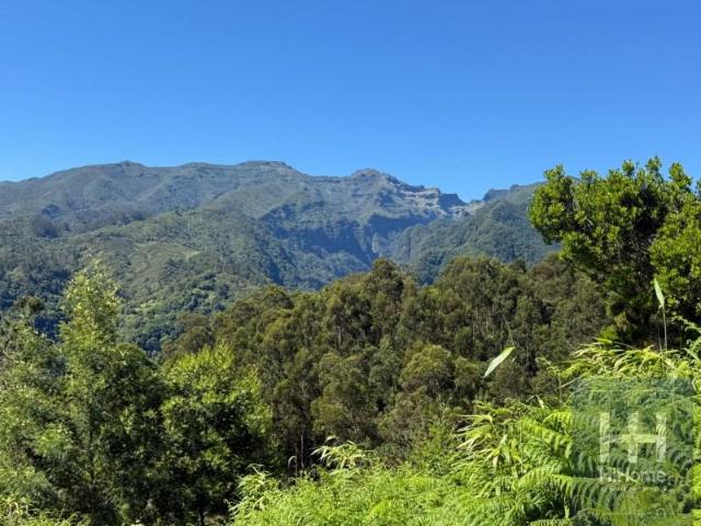 Terreno venda em Santana, Ilha Da Madeira
