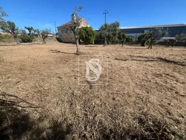 Terreno venda em Santarém