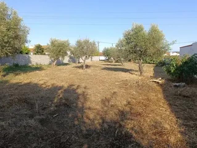 Terreno venda em Santarém