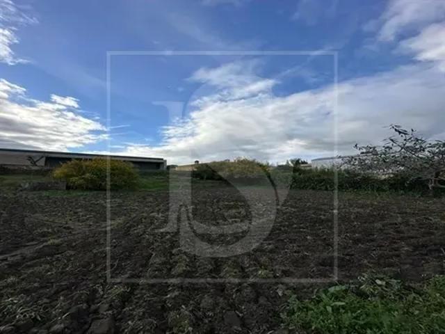 Terreno venda em Santarém