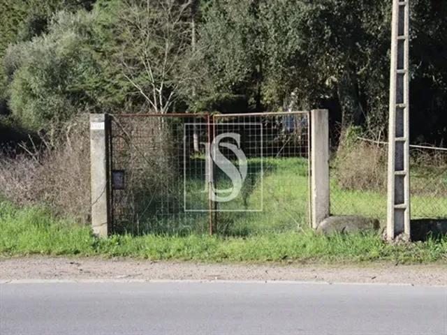 Terreno venda em Santarém
