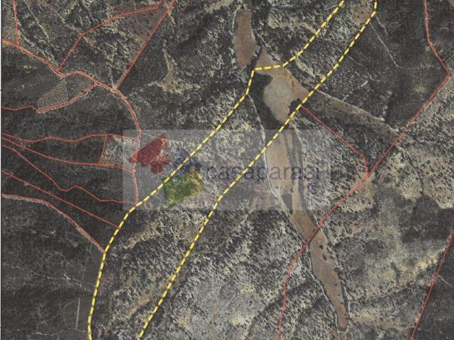 Terreno venda em Abrantes, Santarém