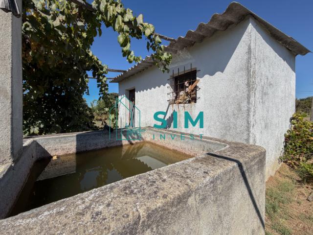 Terreno venda em São Miguel do Rio Torto e Rossio ao Sul do Tejo, Abrantes