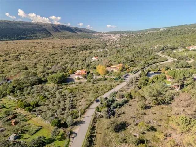 Terreno venda em Santarém