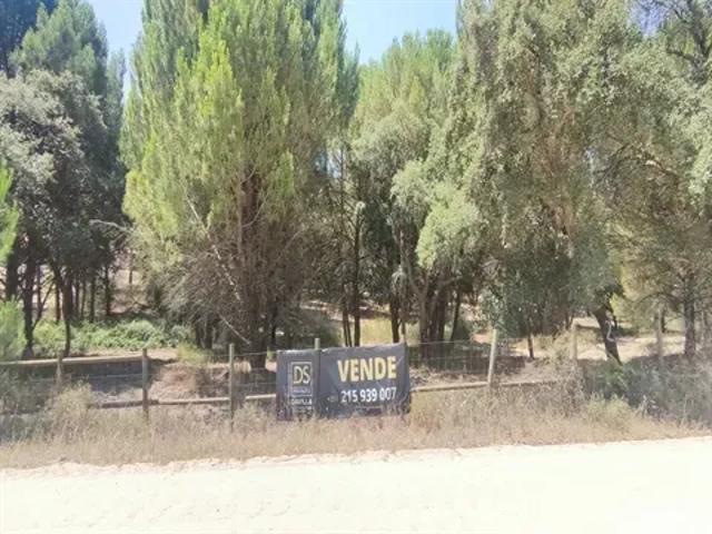 Terreno venda em Santarém