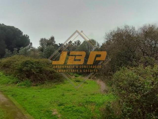 Terreno venda em Cartaxo e Vale da Pinta, Cartaxo