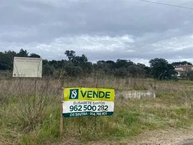 Terreno venda em Santarém