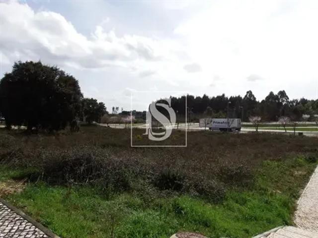 Terreno venda em Rego Da Murta, Santarém