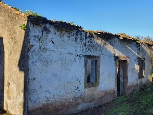 Casa venda em Rego Da Murta, Santarém